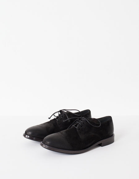 Sassolo Oxford in Black