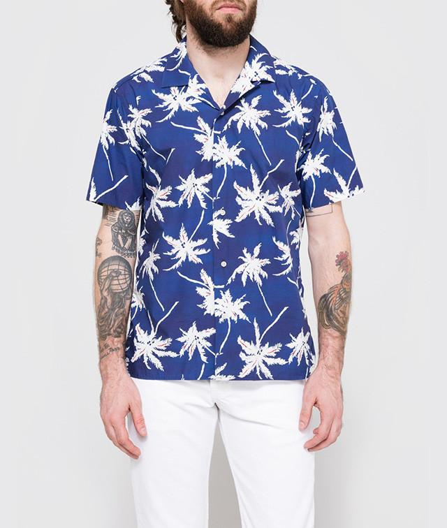 Mollis faucibus aptent