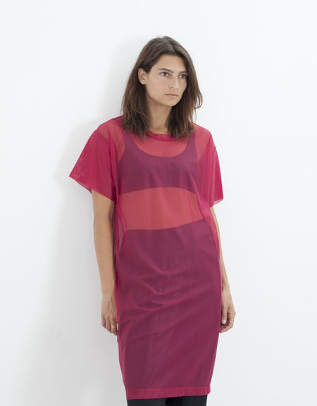 Mesh Over Dress in Pink