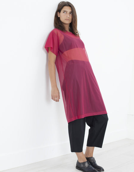 Mesh Over Dress in Pink