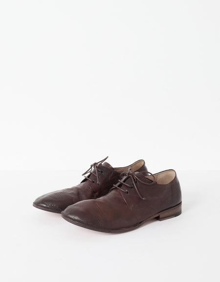Marsacco Lace Up in Bark